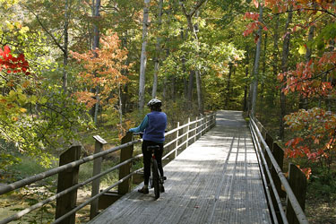 cyclist enjoying a Georgia backwoods bike trail