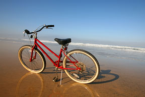 beach cruiser bicycle